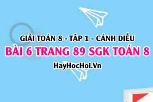 Giải bài 6 trang 89 Toán 8 Tập 1 SGK Cánh Diều